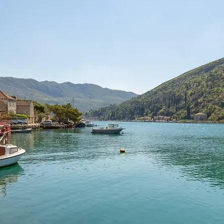 Hedera Estate, Hedera A24